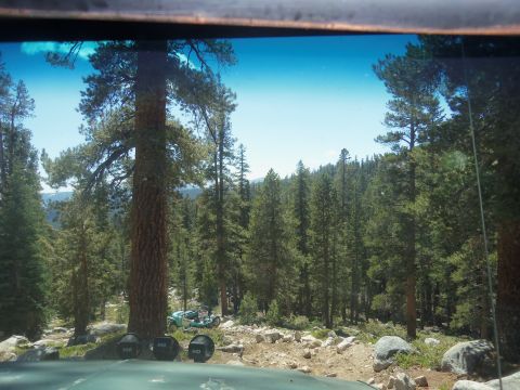 1968 Ford Bronco - A light blue dune buggy is seen off-road amidst a dense forest landscape.