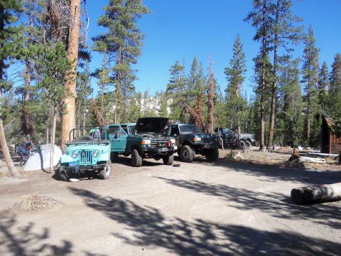 1968 Ford Bronco - A group of off-road vehicles are parked in a forest clearing on a sunny day.