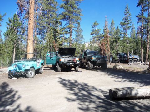 1968 Ford Bronco - A group of modified off-road vehicles are parked in a wooded area under a clear blue sky.