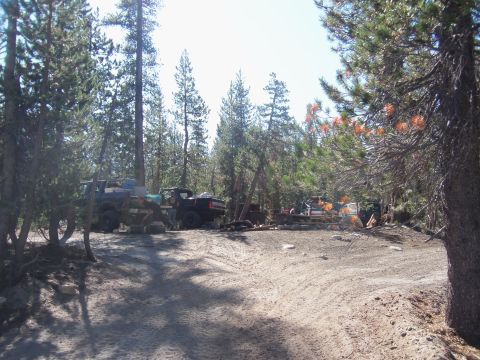 1968 Ford Bronco - Multiple off-road vehicles are parked in a wooded area, suggesting a campsite or staging area.