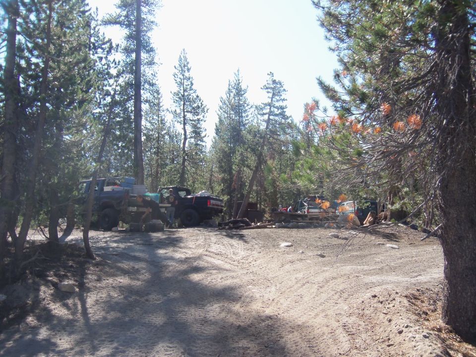Several off-road vehicles parked in a dirt clearing surrounded by pine trees
