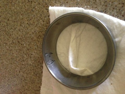 1996 Ford Bronco - Close-up of a pitted wheel bearing, indicating wear and potential failure.