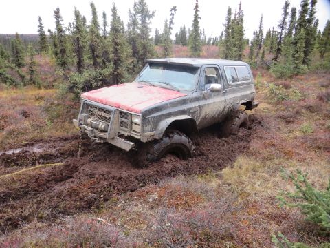 1990 Ford F-250 - This GMC K5 Blazer is deeply stuck in thick mud and vegetation, with only its front end visible.