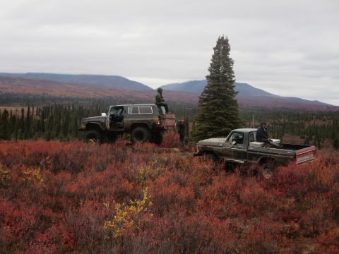 1990 Ford F-250 - Two trucks are parked in a field of red bushes with mountains in the distance under an overcast sky.