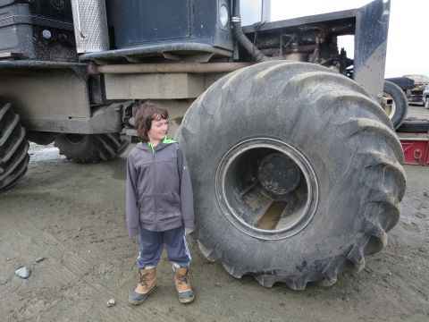 1990 Ford F-250 - A child stands next to the massive tire of a large vehicle, highlighting its immense size.
