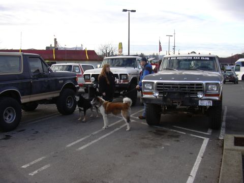 1991 Ford Bronco - Several Ford Broncos and other trucks are parked in a lot, with two dogs present.