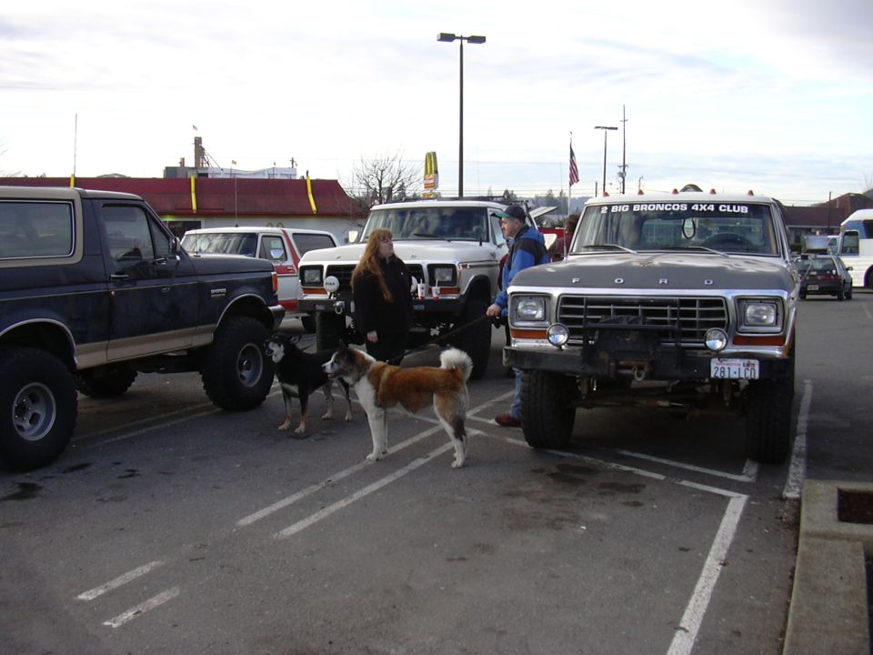 Front view of a dark gray 1978 Ford Bronco with a "BIG BRONCOS 4X4 CLUB" sticker on the windshield. Two dogs stand in front of it