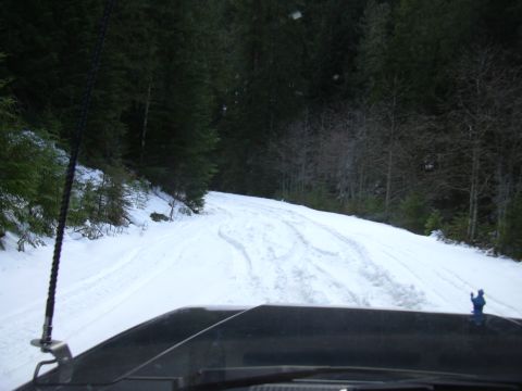 1991 Ford Bronco - Driving through a snowy forest road in January 2004.