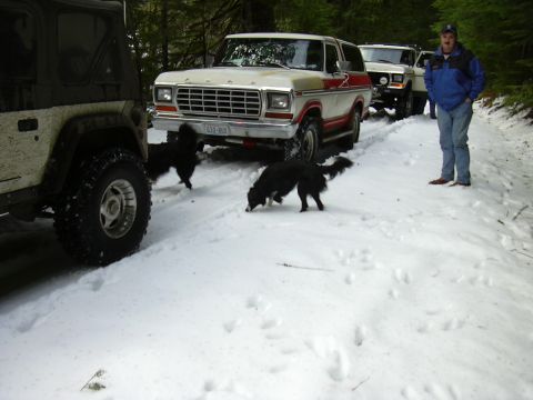 1991 Ford Bronco - A group of SUVs, including two Ford Broncos, are parked on a snowy trail with two dogs present.