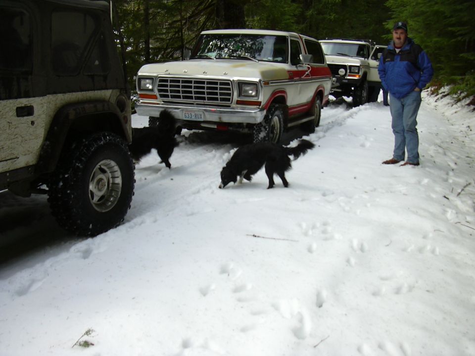 Jeep and two Ford Broncos in snow, two dogs on the ground, man standing