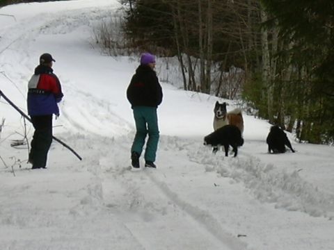 1991 Ford Bronco - A group enjoys a winter day outdoors with their canine companions on a snow-covered path.
