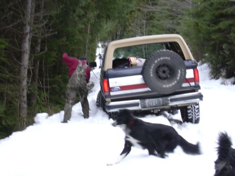1991 Ford Bronco - A person and dogs are near a 1991 Ford Bronco stuck in the snow.