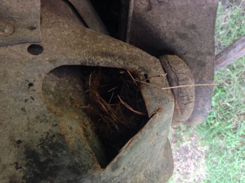 1979 Ford Bronco - A bird has built a nest of twigs and grass within a rusty metal component of a vehicle.