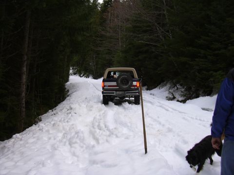 1991 Ford Bronco - A 1991 Ford Bronco navigates a snow-covered path through a dense forest.