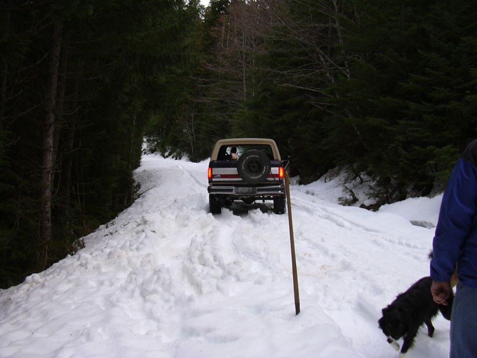 Ford Bronco driving on a snowy forest road, spare tire on back