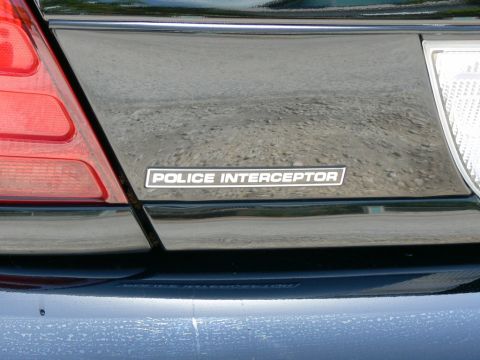 2004 Ford Crown Victoria photo
