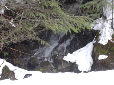1991 Ford Bronco - A winter scene captures a small waterfall flowing over rocks, surrounded by snow and evergreen branches.