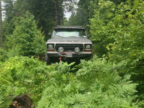 1979 Ford Bronco - This 1979 Ford Bronco is navigating a trail covered in ferns and trees.