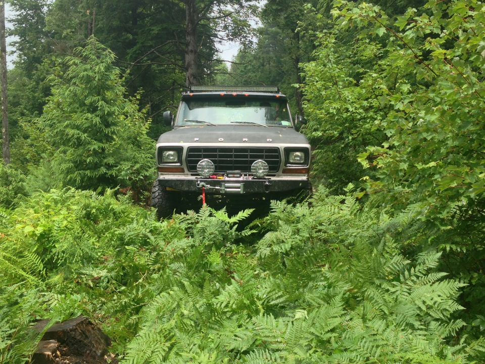 Front view of a 1979 Ford Bronco driving through dense woods
