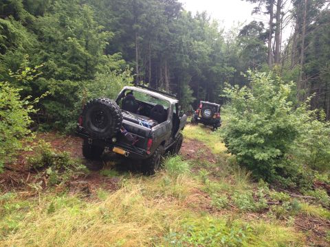 1979 Ford Bronco - Two off-road vehicles navigate a forest trail, with a Bronco in the foreground and a Jeep behind.