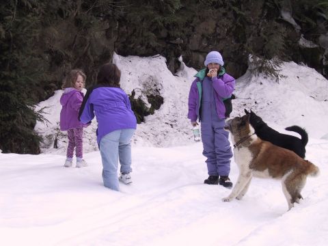 1991 Ford Bronco - Children and their dogs enjoy a winter day in the snow, with one child pausing to eat.
