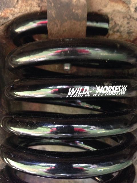 1979 Ford Bronco - Close-up of a black coil spring with "WILD HORSES" branding visible.