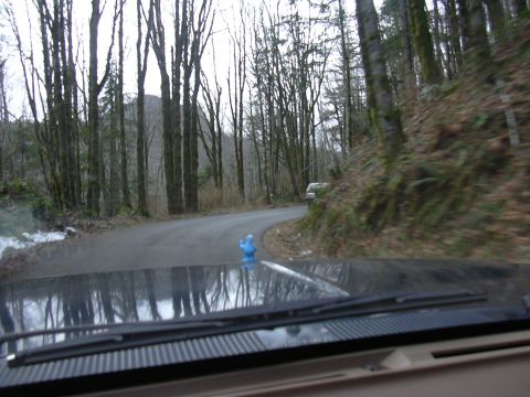 1991 Ford Bronco - A blue rubber chicken is perched on the hood of a vehicle driving on a winding road through a forest.