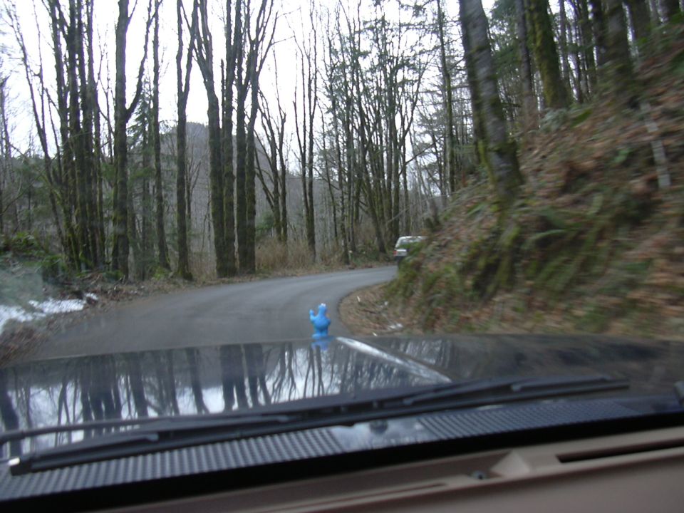 Blue rubber chicken hood ornament on dashboard, view of road and trees