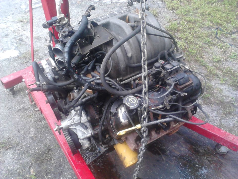 old 302 pulled out
