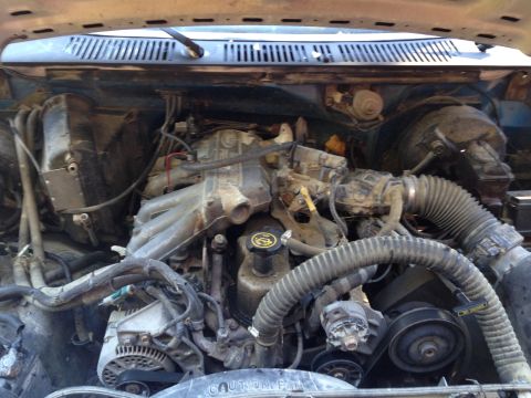 1984 Ford Bronco photo