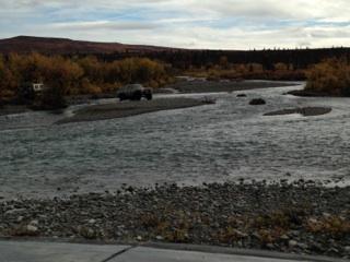 1990 Ford F-250 - A truck navigates a riverbed during autumn, with hills and trees visible on the horizon.