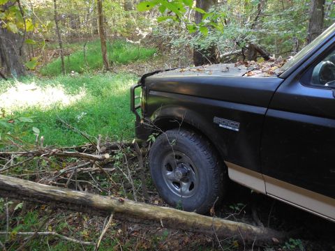 1983 Ford Bronco - I'm looking at buying undeveloped property, and this piece is too big to walk, so I'm blazing a trail. Some trees are coming down...