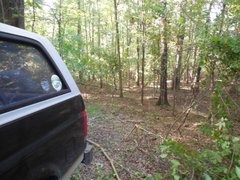 1983 Ford Bronco - I'm looking at buying undeveloped property, and this piece is too big to walk, so I'm blazing a trail. Some trees are coming down...
