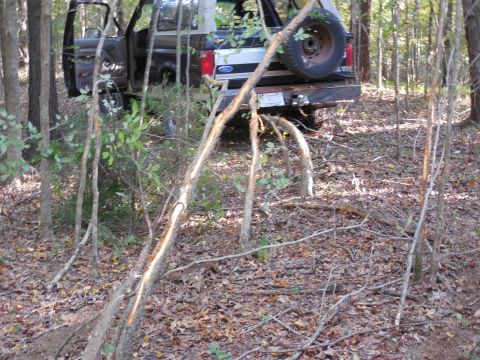 1983 Ford Bronco - I'm looking at buying undeveloped property, and this piece is too big to walk, so I'm blazing a trail. Some trees are coming down...