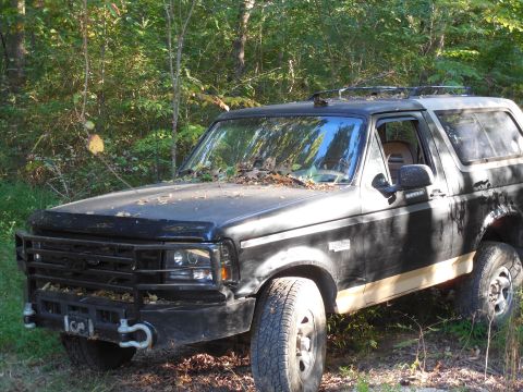 1983 Ford Bronco - For a street-legal & comfortable truck, it does OK off-road knocking down trees. A few of them were the size of my leg, and I'm really happ…