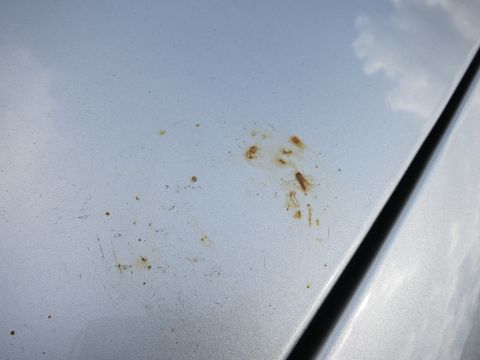 1991 Ford LTD Crown Victoria - Rust spots and scratches are visible on the silver paint of a car's hood.