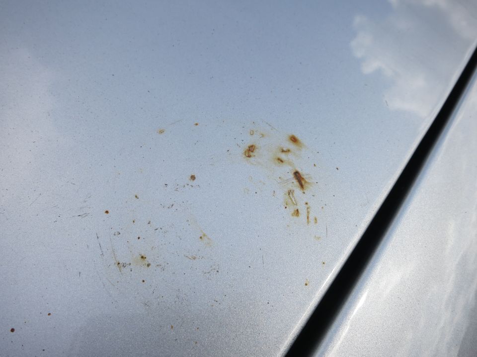 Silver car hood with rust spots and scratches