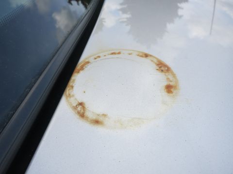 1991 Ford LTD Crown Victoria - A circular rust stain is visible on the hood of a car, next to the windshield.