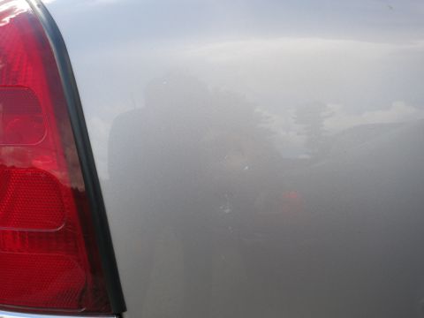 1991 Ford LTD Crown Victoria - The taillight and rear quarter panel of a silver vehicle are shown, with reflections of trees in the paint.