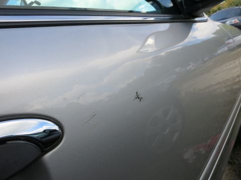 1991 Ford LTD Crown Victoria - A close-up view of a silver car's side door reveals minor damage, including scratches and a bug impact.