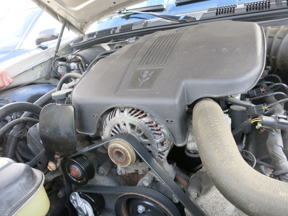 Engine bay with alternator and belts visible