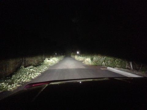 1992 Ford F-150 - Driving down a dark road at night, headlights illuminating the path ahead.