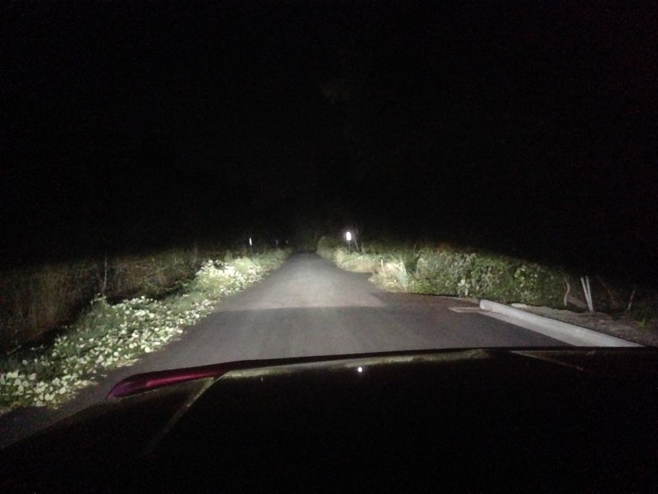 View down a dark, paved road at night, illuminated by headlights. Some foliage and white flowers line the left side