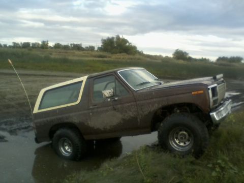 1980 Ford Bronco photo