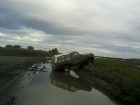 1980 Ford Bronco photo