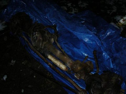 1990 Ford F-150 - Two Dana 60 axle assemblies are laid out on a blue tarp, appearing to be parts for a vehicle.
