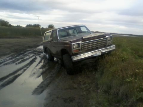 1980 Ford Bronco photo