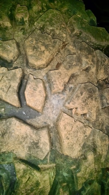 1979 Ford F-150 - The image shows a close-up of a tire's tread pattern, covered in dirt and moss, suggesting it is a part rather than a complete vehicle.