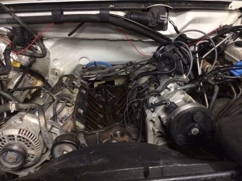 1996 Ford Bronco - Close-up view of an engine bay, showing various mechanical components and wiring.