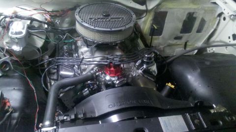1982 Ford Bronco - Engine bay details including an Edelbrock air cleaner and a red distributor cap are visible.